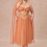 Curve&Plus Sahara Rose Corset Dress