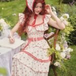 Red Hood Maiden Dress