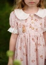 Toddler Girl Ballet Mouse Party Dress - Image 3